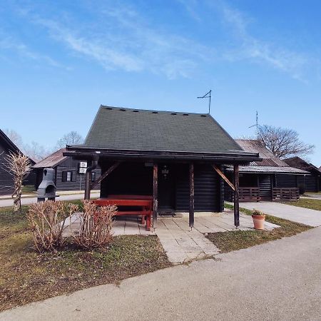 Hiska Catez Villa Brežice Exteriör bild